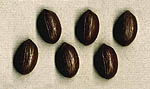 nuts Thumbnail